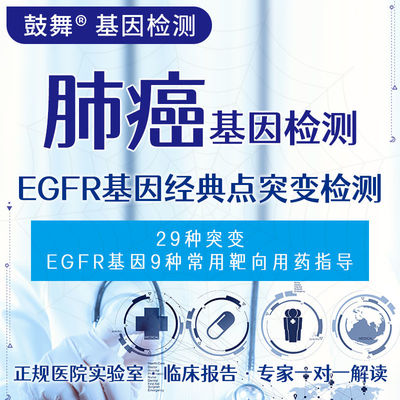 購入 EGFR 遺伝子の古典点変異検出 online manufacture
