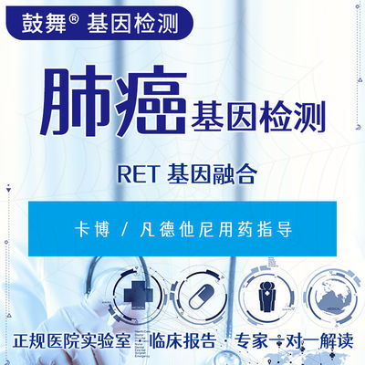 購入 RET 遺伝子融合 FISH がんに対する遺伝子検査 6 週間のサイクル online manufacture
